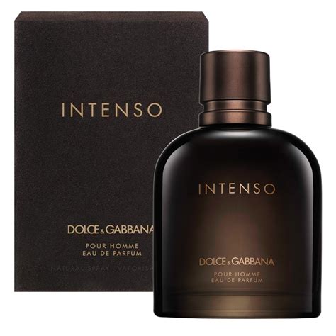 dolce gabbana homme parfum avis|d&g pour homme intenso.